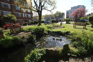 Ornamental Pond- click for photo gallery